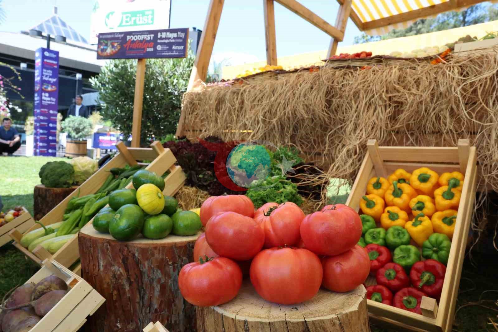 5. Uluslararası Foodfest Antalya Gastronomi Festivali başlıyor