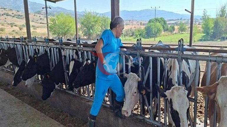 Aydın’da 17 mahallede karantina tedbirleri alındı Hayvan giriş çıkışı yasak