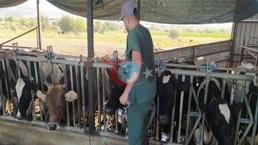 Aydın’da 17 mahallede karantina tedbirleri alındı! Hayvan giriş çıkışı yasak