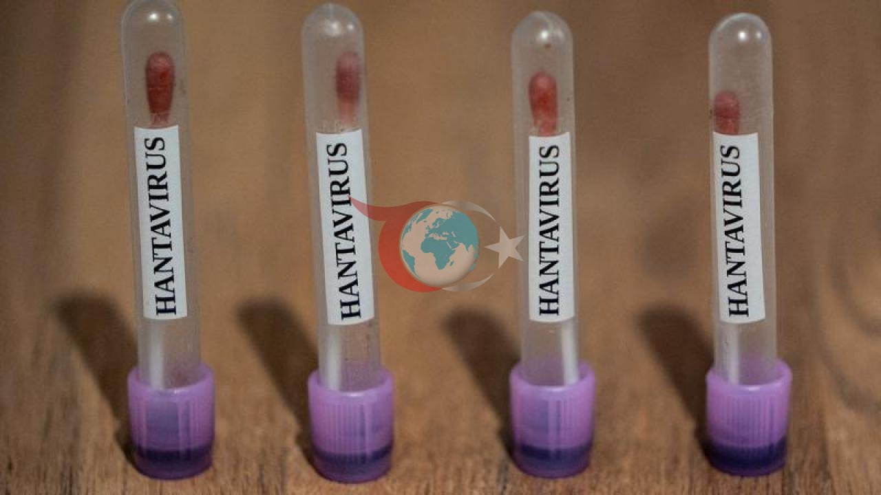 CDC, ABD'de Hantavirüs Vakaları İçin '3. Seviye Acil Durum' İlan Etti