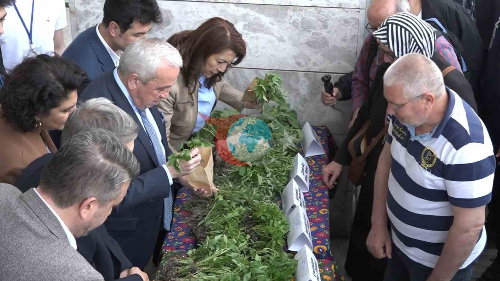 120 bin fide toprakla buluşuyor