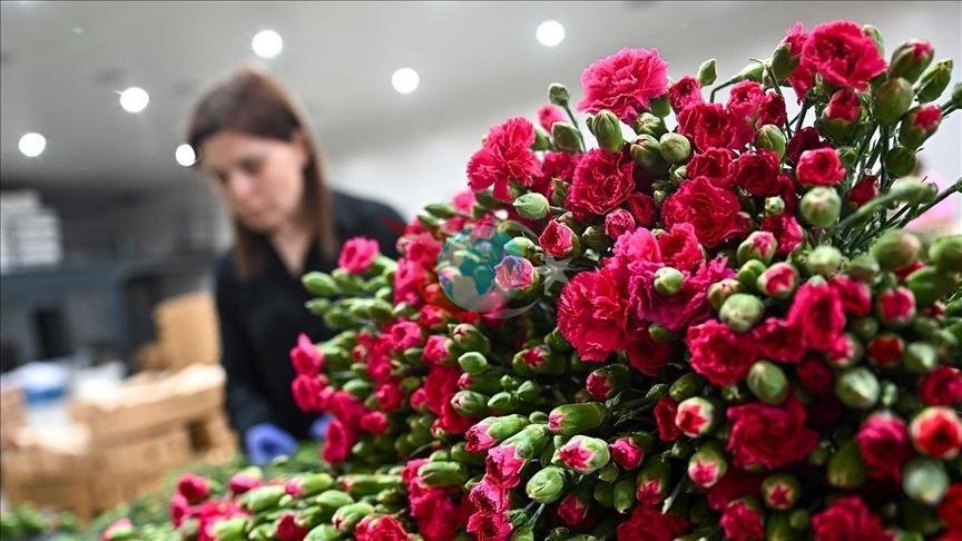 Anneler Günü'nde Türkiye'den 35 Ülkeye 80 Milyon Dal Çiçek Gönderildi