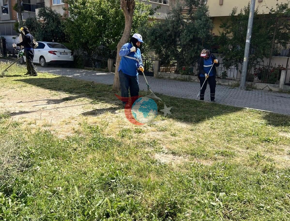 Didim Belediyesi, İlçedeki Yeşil Alan Çalışmalarını Hızlandırdı