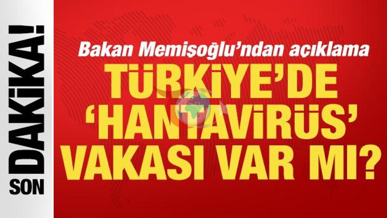 Bakan Memişoğlu'ndan Hantavirüs Hakkında Bilgilendirme: 'Ülkemizde Vakaya Rastlanmadı'
