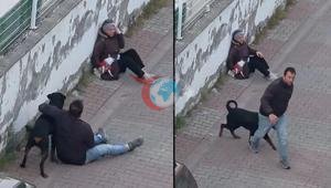 Ümraniye’de Rottweiler dehşeti Ağızlıksız köpek, küçük ırk köpeğe saldırdı, sahibi yakalandı