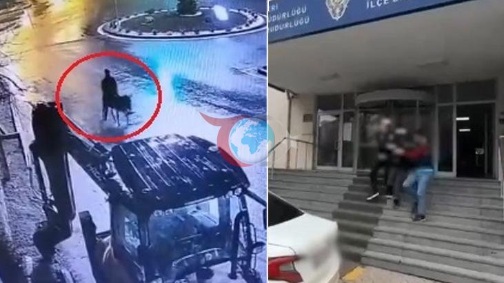 Forkliftle Soygun Yapan Şahıs, Eşekle Kaçtı; Cezası Açıklandı