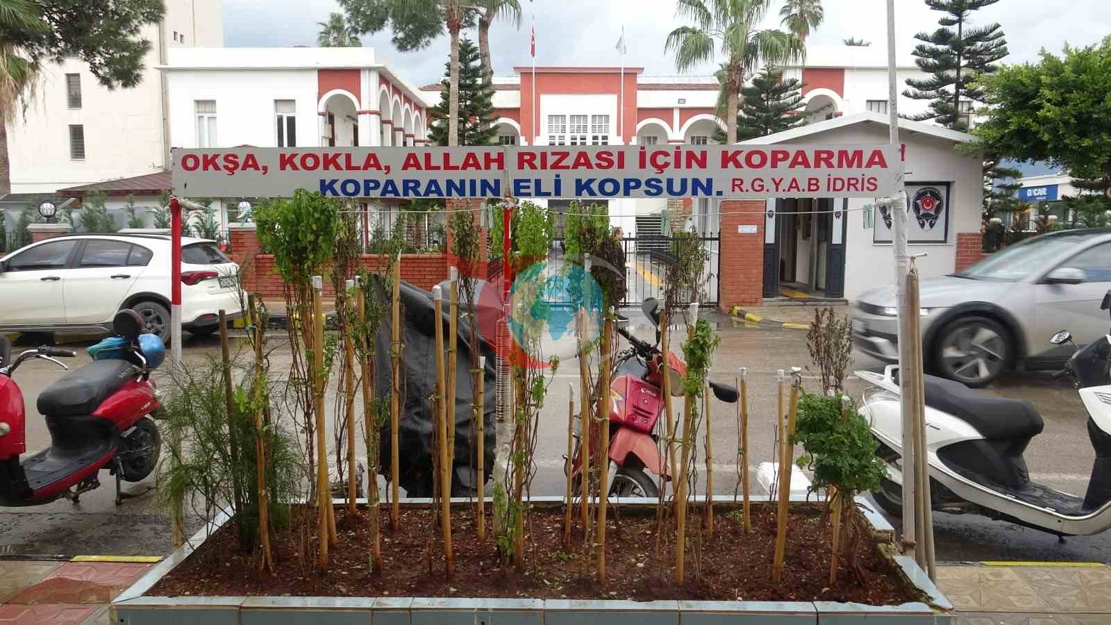 Annesinin çok sevdiği çiçeği, iş yerinin önünde mezarı andıran alanda 40 yıldır yaşatıyor