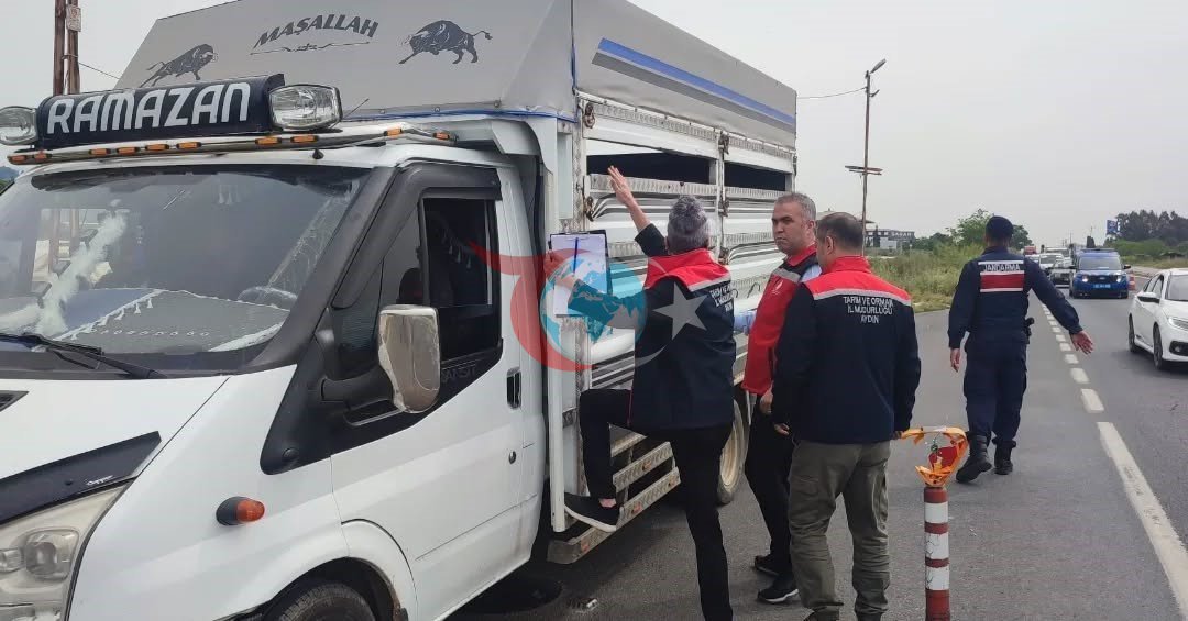 Aydın'da Kurban Bayramı Öncesi Yoğun Yol Denetimleri Başlatıldı
