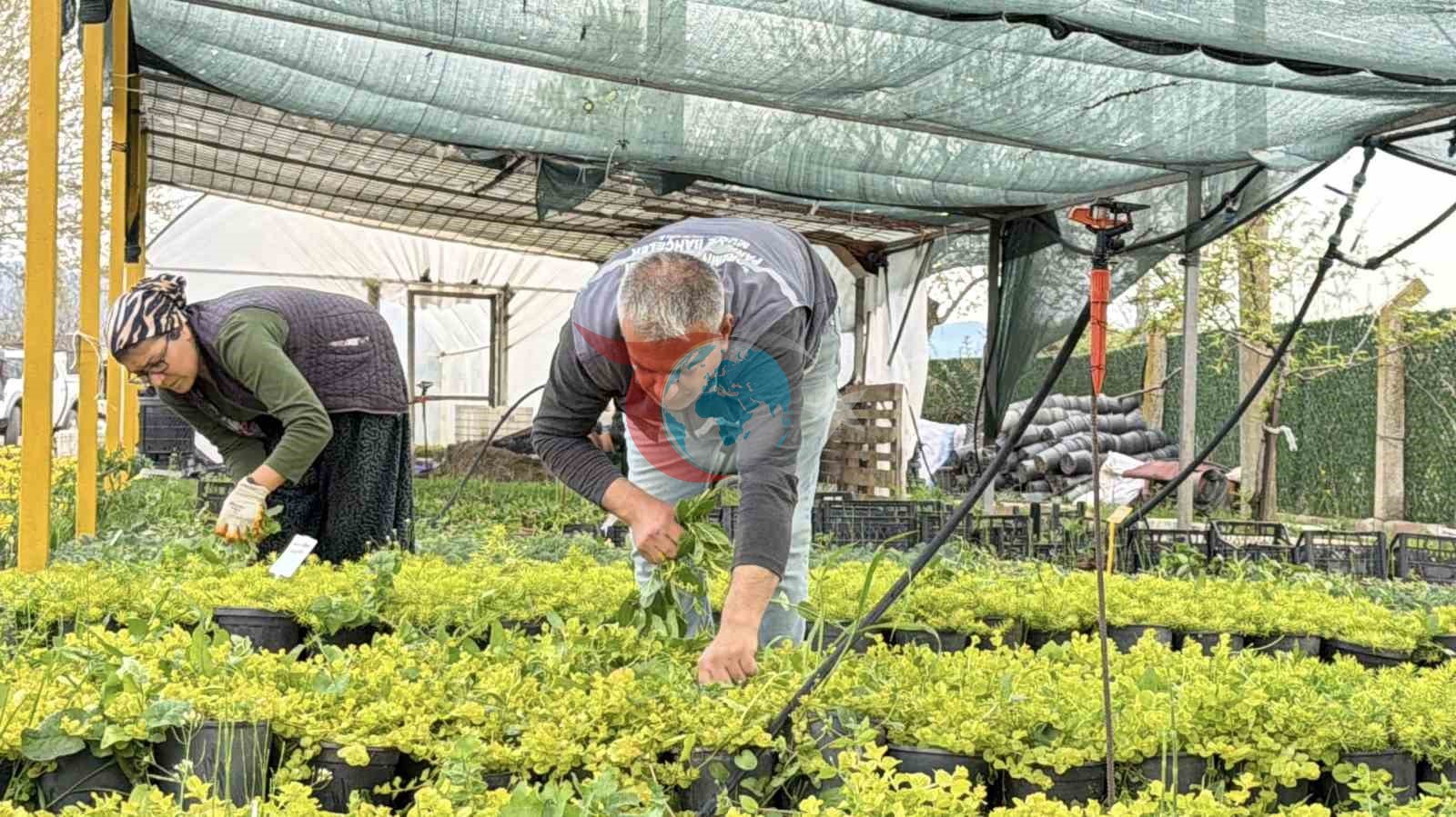 Edremit’te Su Tasarruflu Peyzaj Dönemi Başladı
