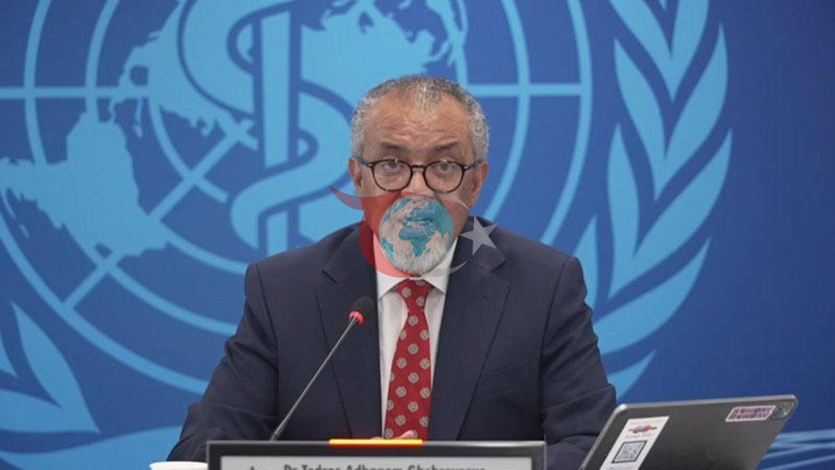 DSÖ Lideri: Hantavirüs, Covid-19'un Yeniden Ortaya Çıkışı Değil