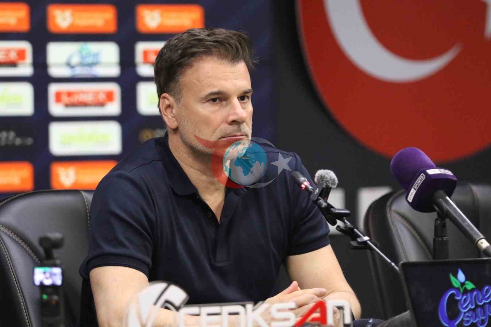 Aleksandar Stanoyeviç: