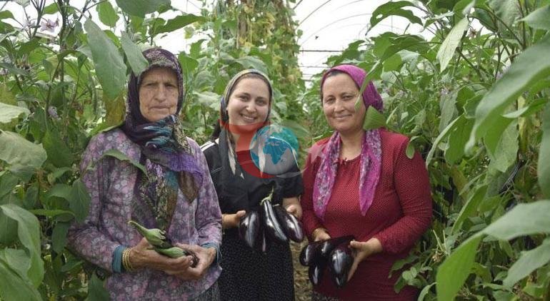 67 yoshli buvisi, onasi va nabirasi — bir oilaning uch avlodi bo'lgan uch ayol — bir xil ishni bajarishgan.
