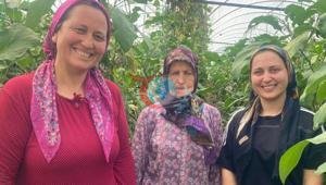 67 yaşındaki büyükanne, annesi ve torunu Üç kadın üç kuşaktır aynı işi yapıyor