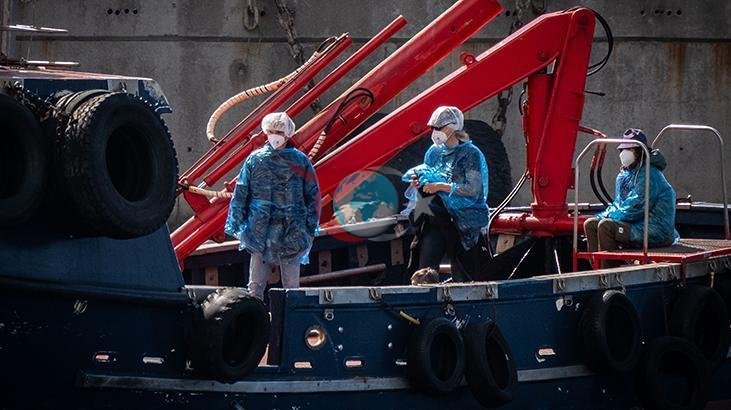 MV Hondius Gemisinde Tahliye Operasyonu: Hantavirüs Tehdidi
