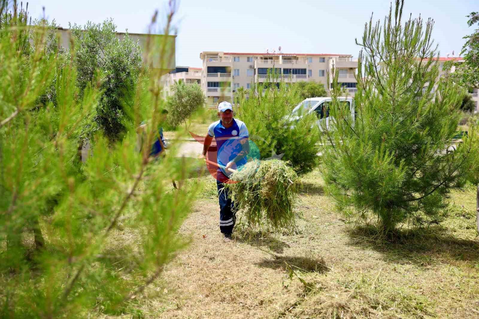 Didim Belediyesi&rsquo;nden okullarda ot biçme ve çevre düzenleme çalışması