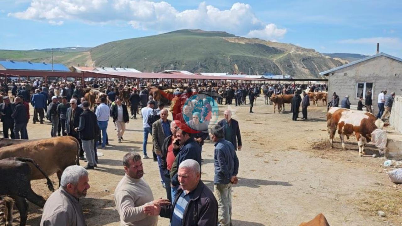 Aşkale'de Kurban Pazarı Hareketlendi: Fiyatlar El Yakıyor