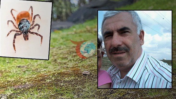 Sivas'ta Kene Tehlikesi: İstanbul'dan Gelen Adam Hayatını Kaybetti