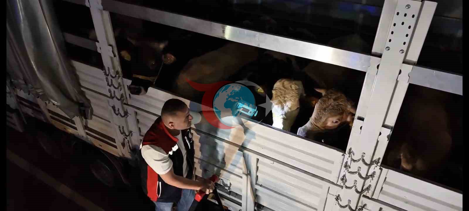 İstanbul'da Kurban Bayramı Öncesi Yoğun Denetim Süreci