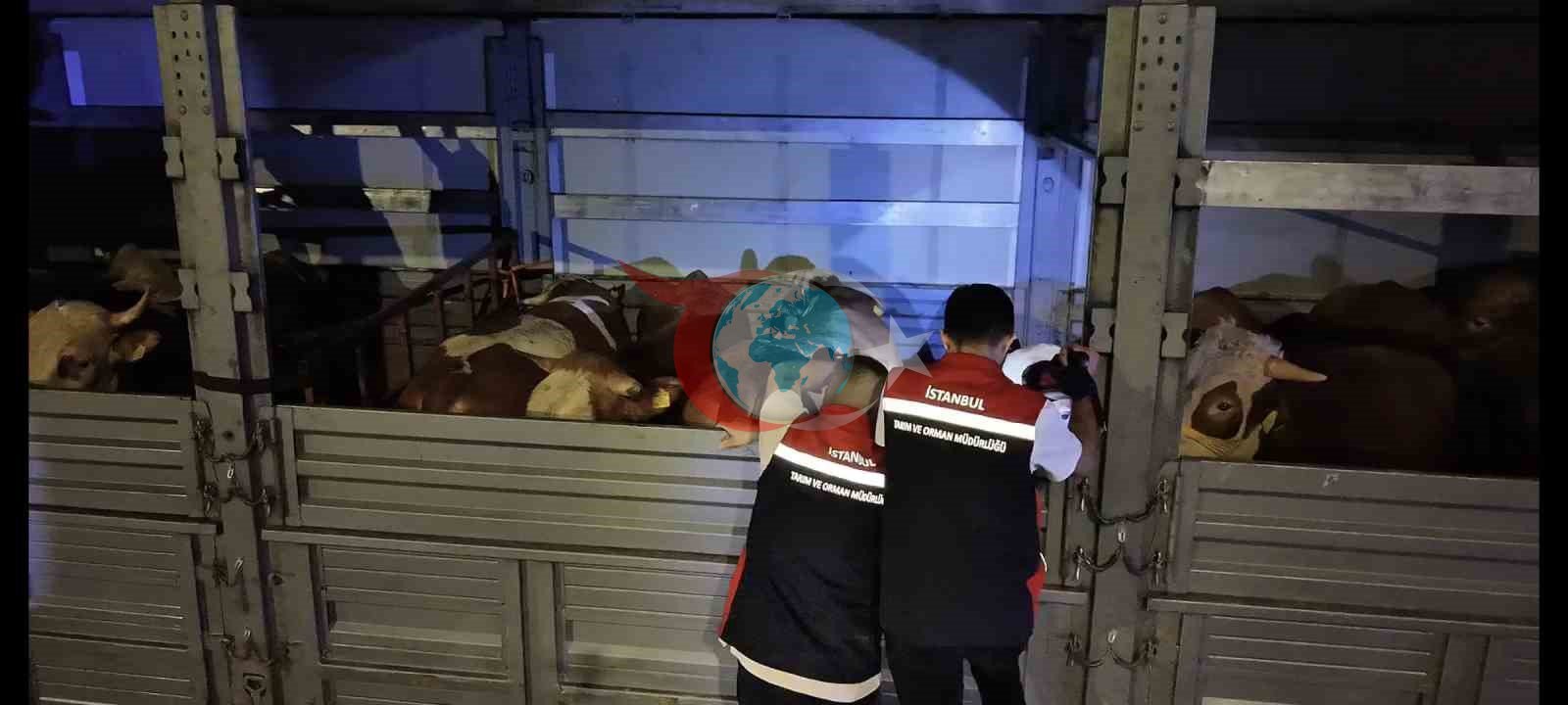Kurban Bayramı öncesi İstanbul&rsquo;da sevk noktalarında yoğun mesai