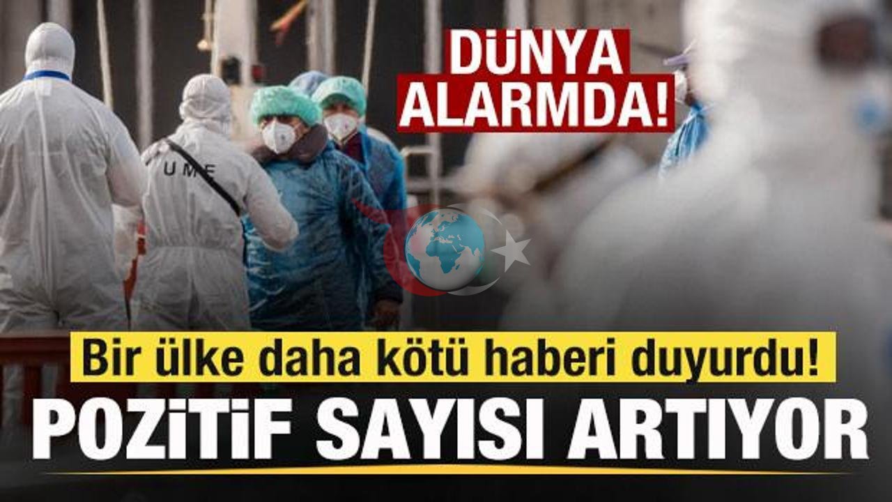 Hantavirüs Alarmı: İspanya ve Fransa'da Yeni Vakalar