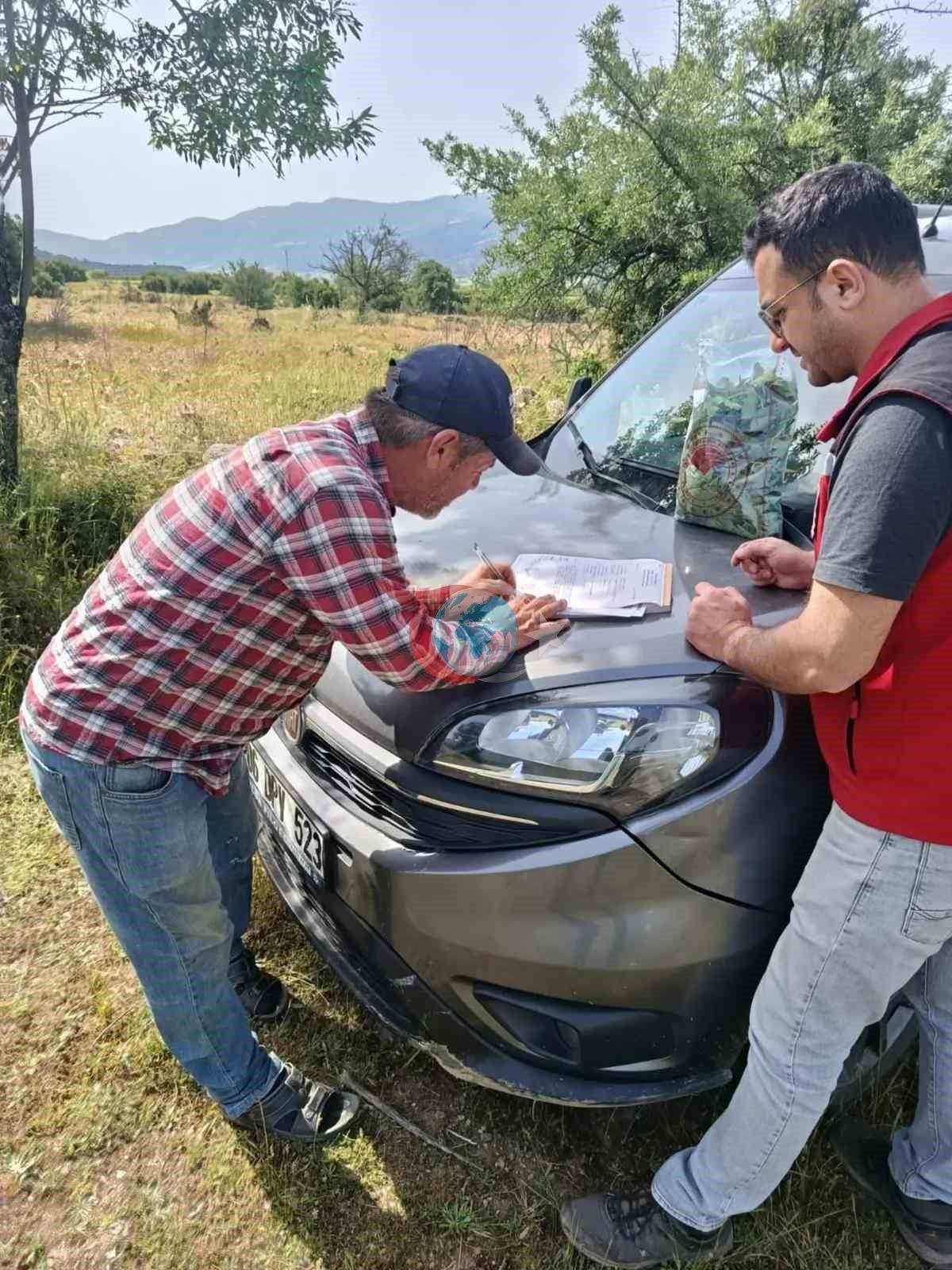 Bağlarda hasat öncesi pestisit denetimi başladı