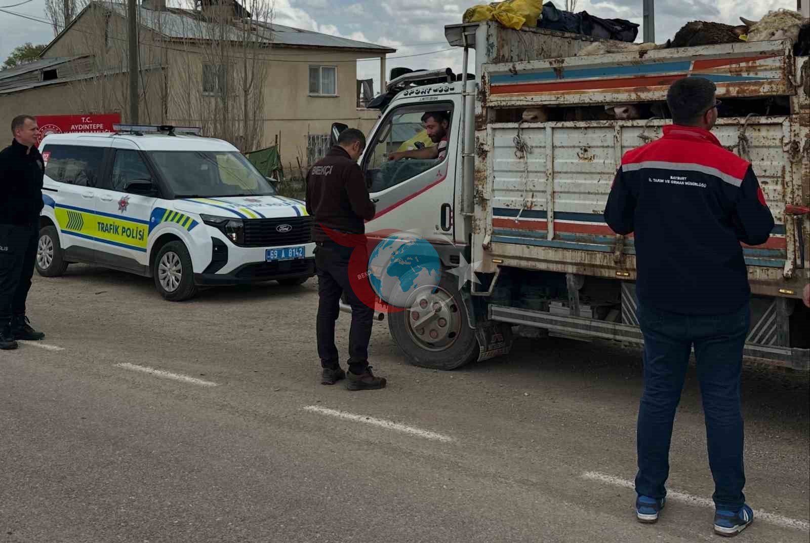 Aydıntepe'de Kurban Bayramı Öncesi Hayvan Nakilleri Sıkı Denetimde