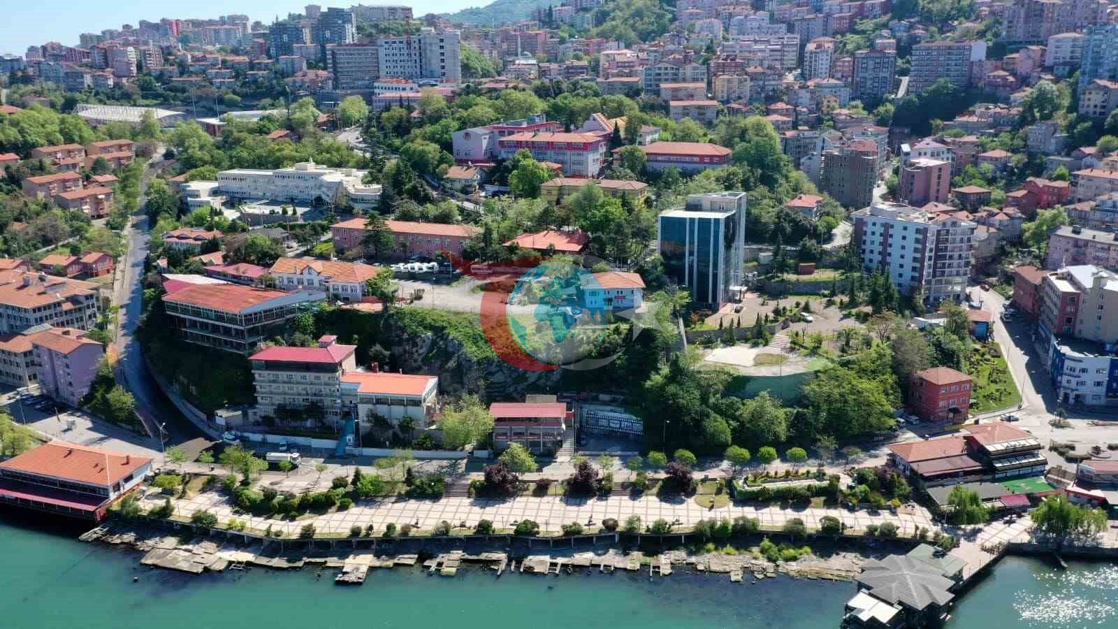Zonguldak'ta Hane Halkı Büyüklüğü ve Akraba Evlilikleri