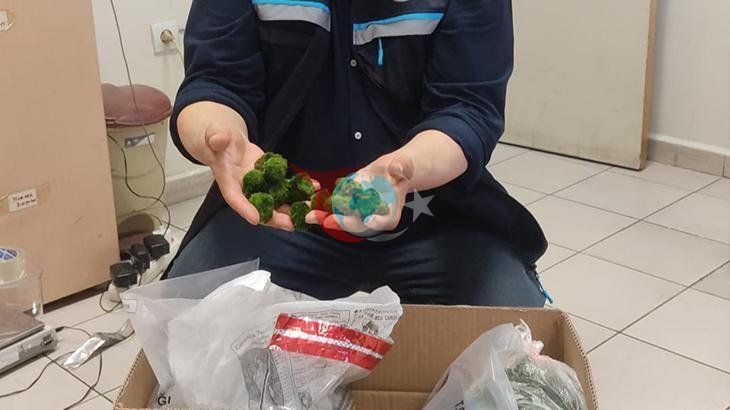 Kapıkule Sınır Kapısı'nda Devasa Yeşil Alg Kaçakçılığı