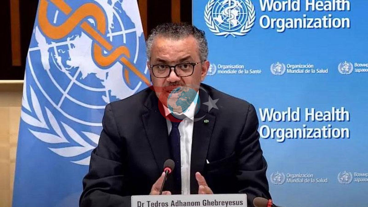 DSÖ'den Hantavirüs Uyarısı: Ülkeler Hazırlıklı Olmalı