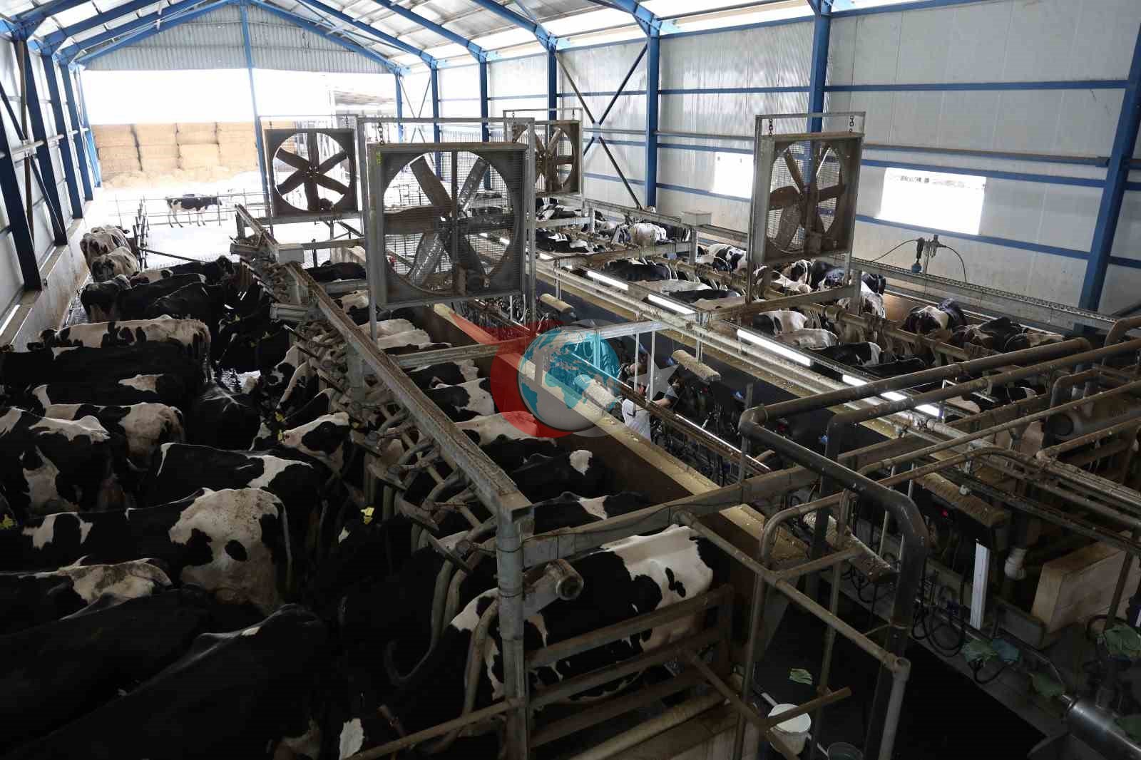 Bilim toplumun her kesimiyle bir araya geliyor