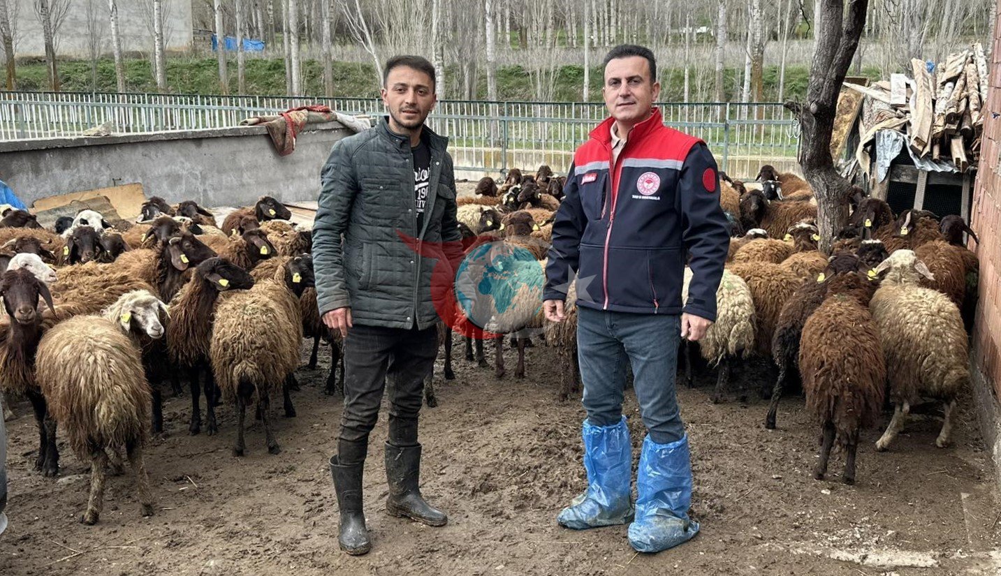 Aydıntepe'de Kırsal Kalkınma İçin 'Sürü' Projesi Devam Ediyor