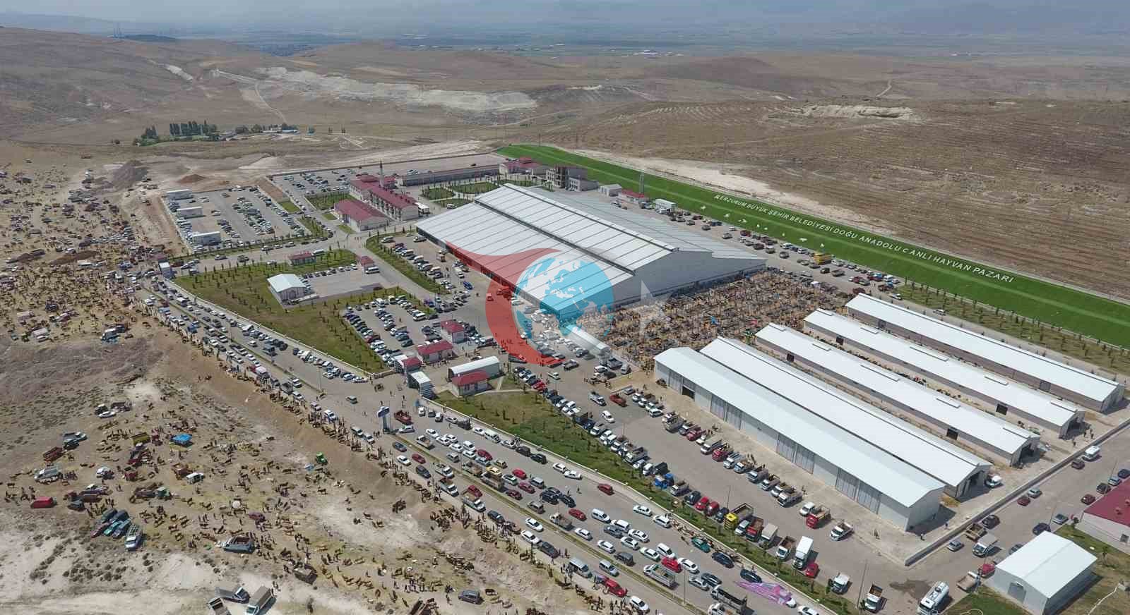 Erzurum'un Tarım ve Hayvancılıkta Yeni Kalkınma Modeli