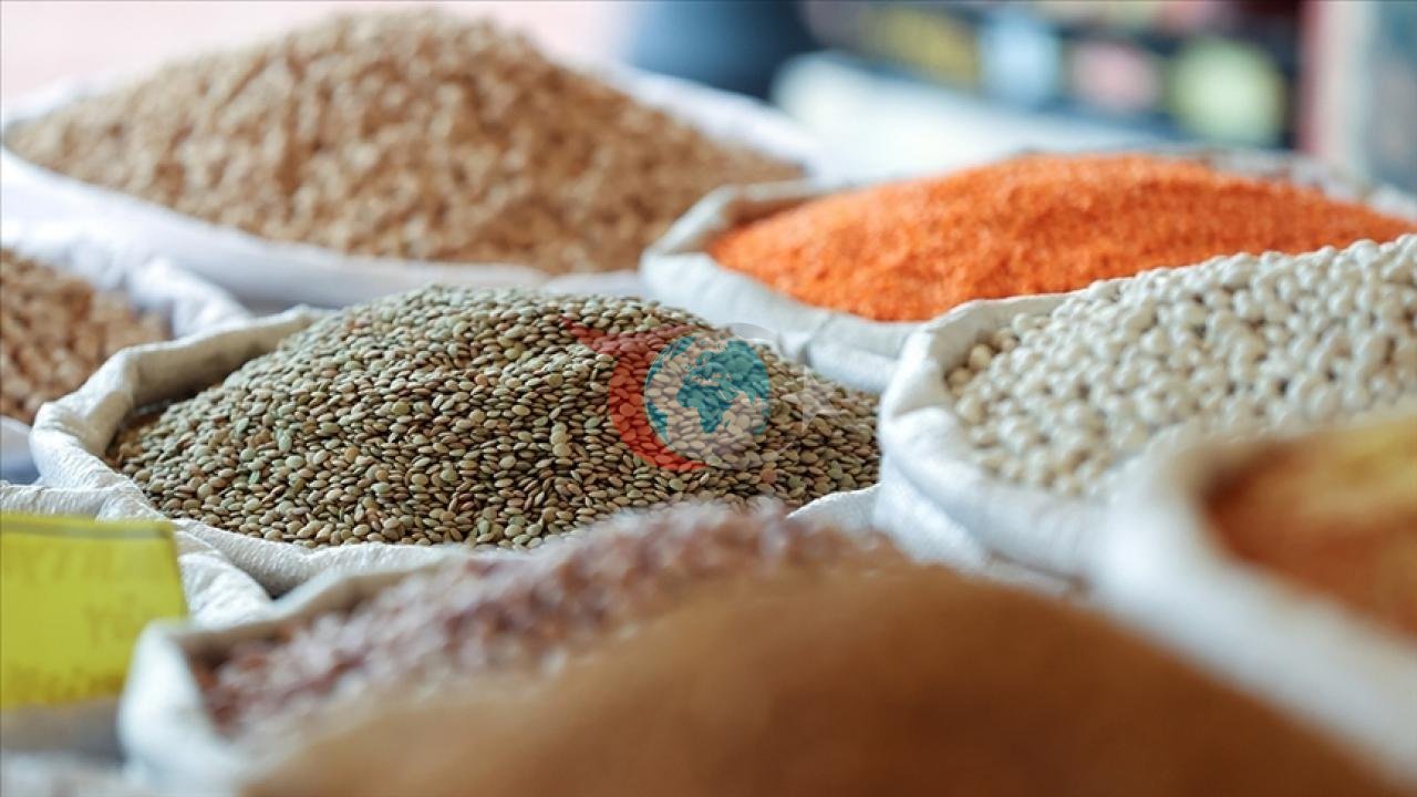 Türkiye'nin Hububat İhracatı İlk Dört Ayda 3,9 Milyar Dolara Ulaştı