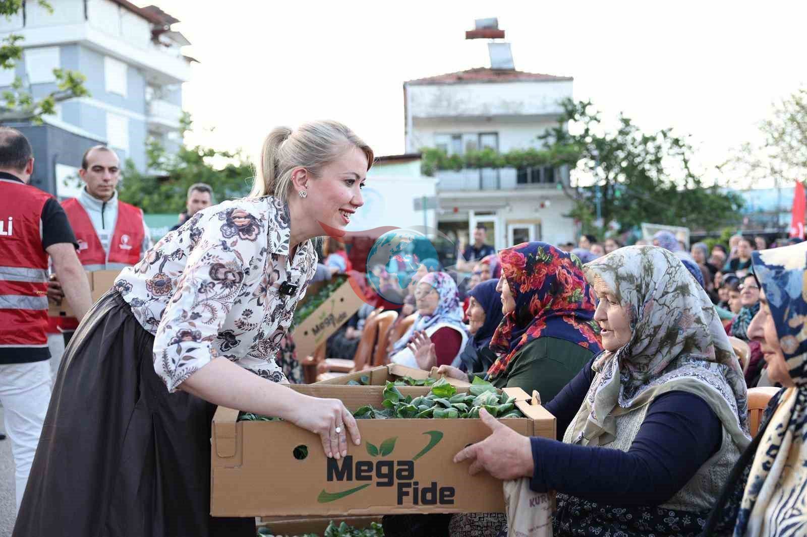 Merkezefendi'de Üreticilere Binlerce Fide Desteği Sağlandı