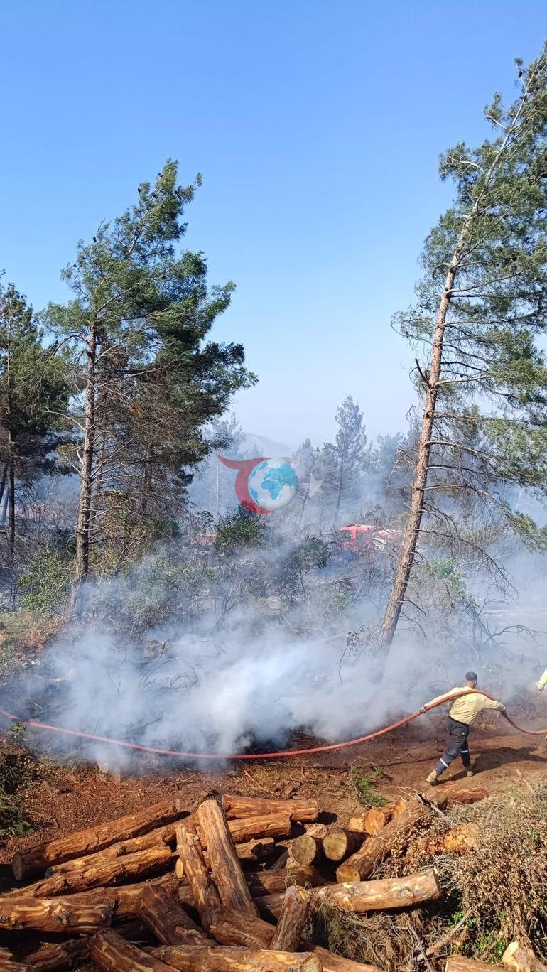 Hatayda iki farklı noktada orman yangını