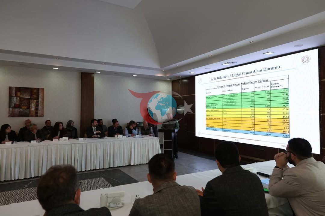 Samsun'da Hayvan Barınaklarının Yetersizliği Gündemde