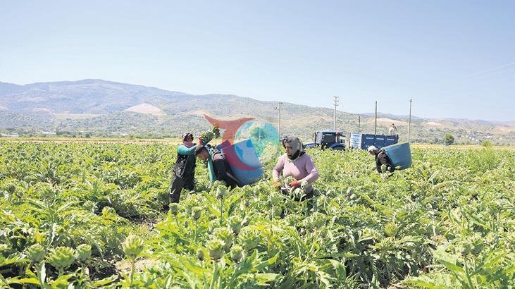 Su Verimliliği Tarımda Başarıyı Getirecek