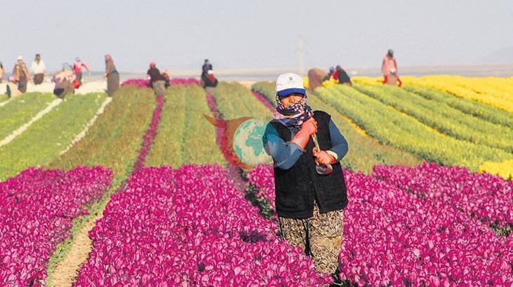 Kırsal Kalkınma İçin 10 Milyar Liralık Hibe Desteği
