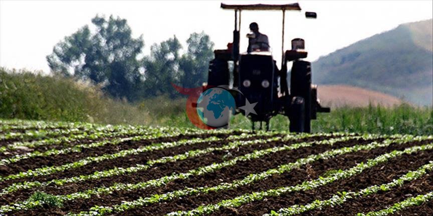 24 ay boyunca tek kuruş ödenmeyecek! Tarımda 7 yıllık 'büyük devrim' başladı