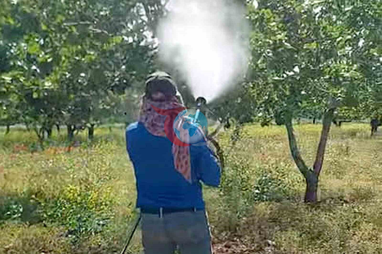 Araban’da Antepfıstığı üreticileri hastalıklar ve zararlılarla mücadele başlattı