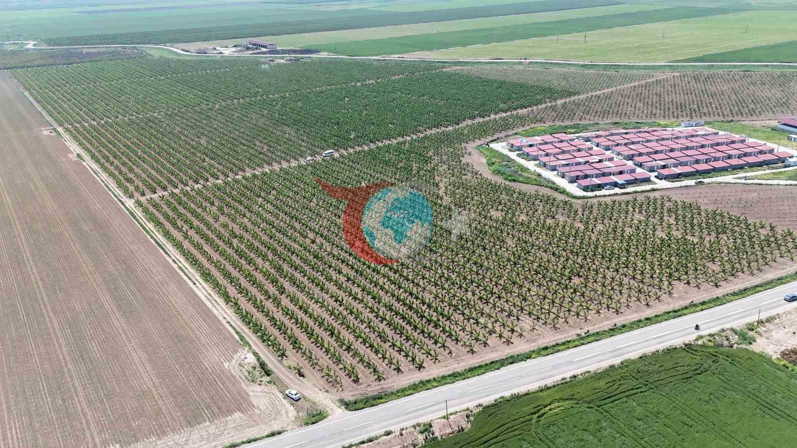 Amik Ovası'nda Tarım İşçilerine Yevmiye Zammı: 1.100 TL