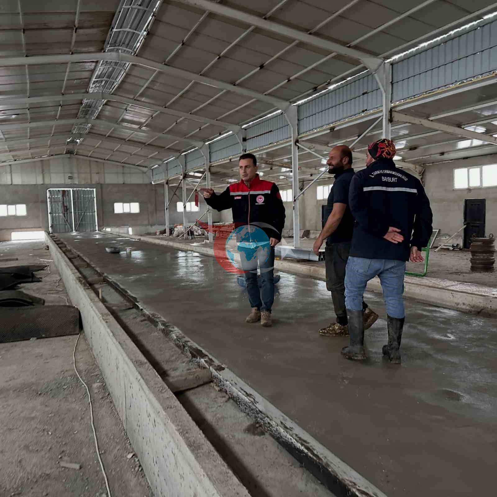 Bayburt Çatıksu'da Modern Hayvancılık Yatırımı Yükseliyor