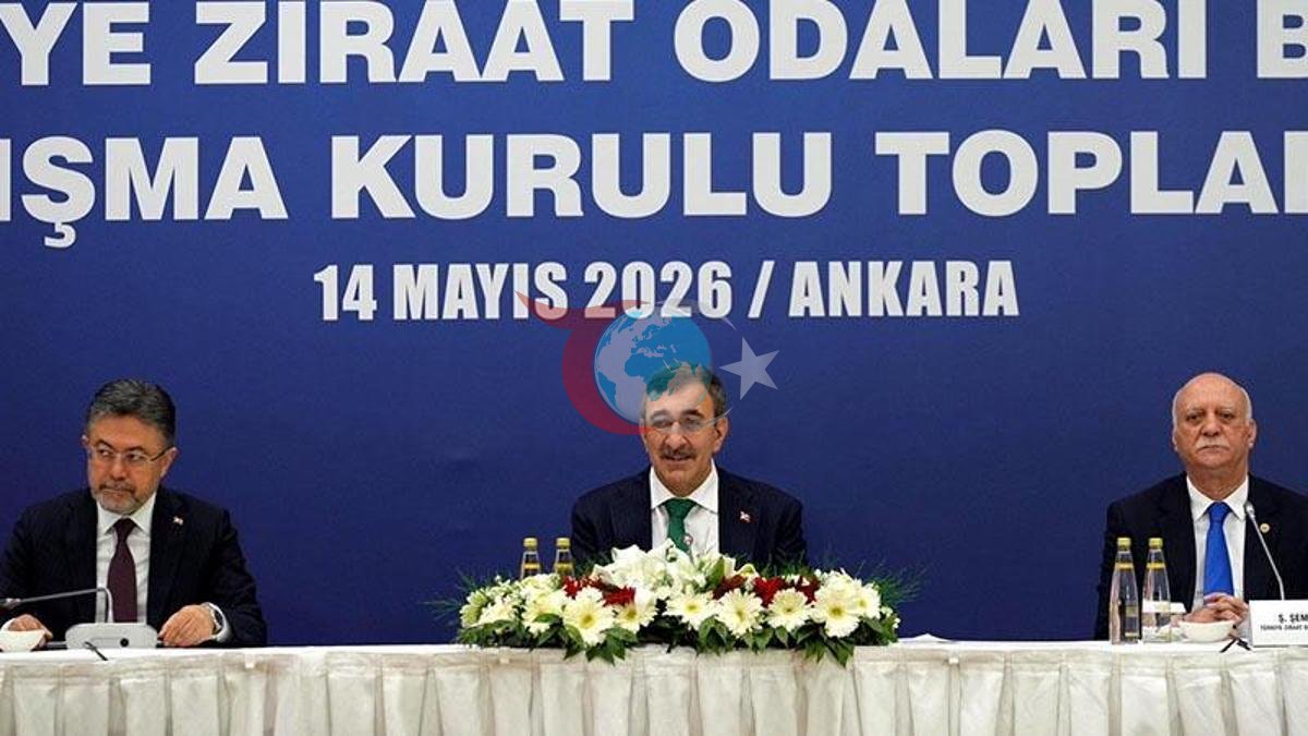 Türkiye'de Tarımın Geleceği: Gençleşme ve Sürdürülebilirlik Hamlesi