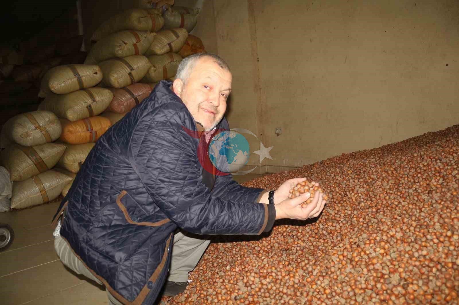 Kurban Bayramı Öncesi Fındık Fiyatlarında Düşüş
