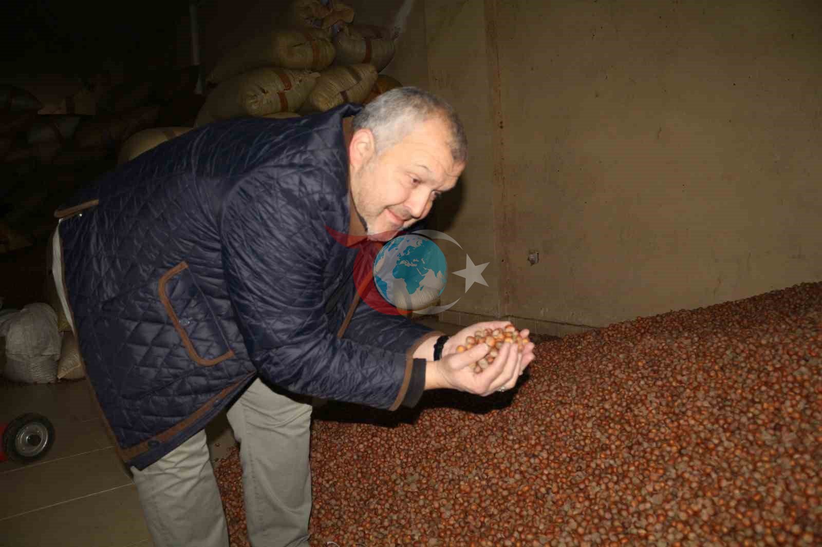 Qurbon hayiti oldidan yong'oq narxi pasaydi