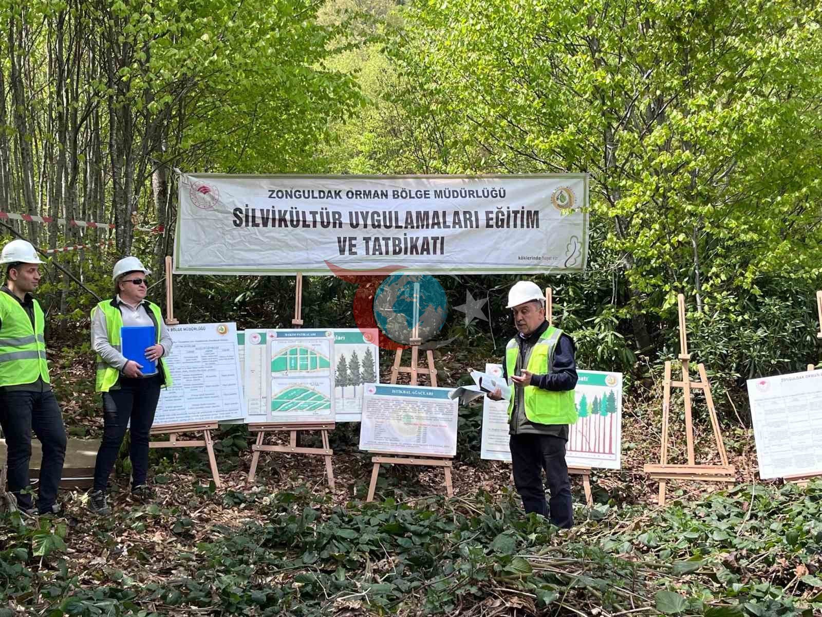 Yenice'de Silvikültür Eğitimi Başarıyla Tamamlandı