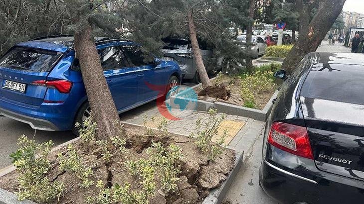 Ankara'da Şiddetli Fırtına: Ağaçlar Devrildi, Araçlar Hasar Gördü