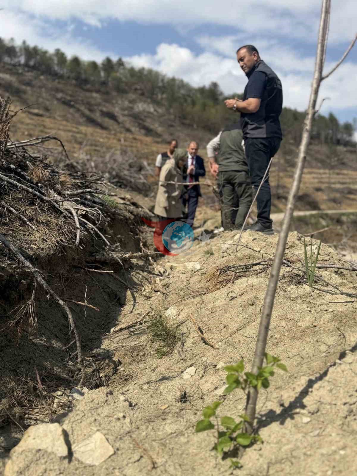 Bilecik’te Yangın Sonrası Ağaçlandırma Çalışmaları İncelendi