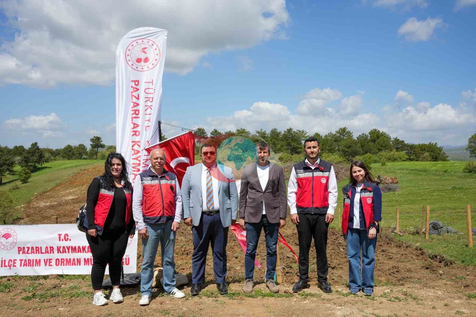 Qeydiyyatdan keçmiş Pazarlar