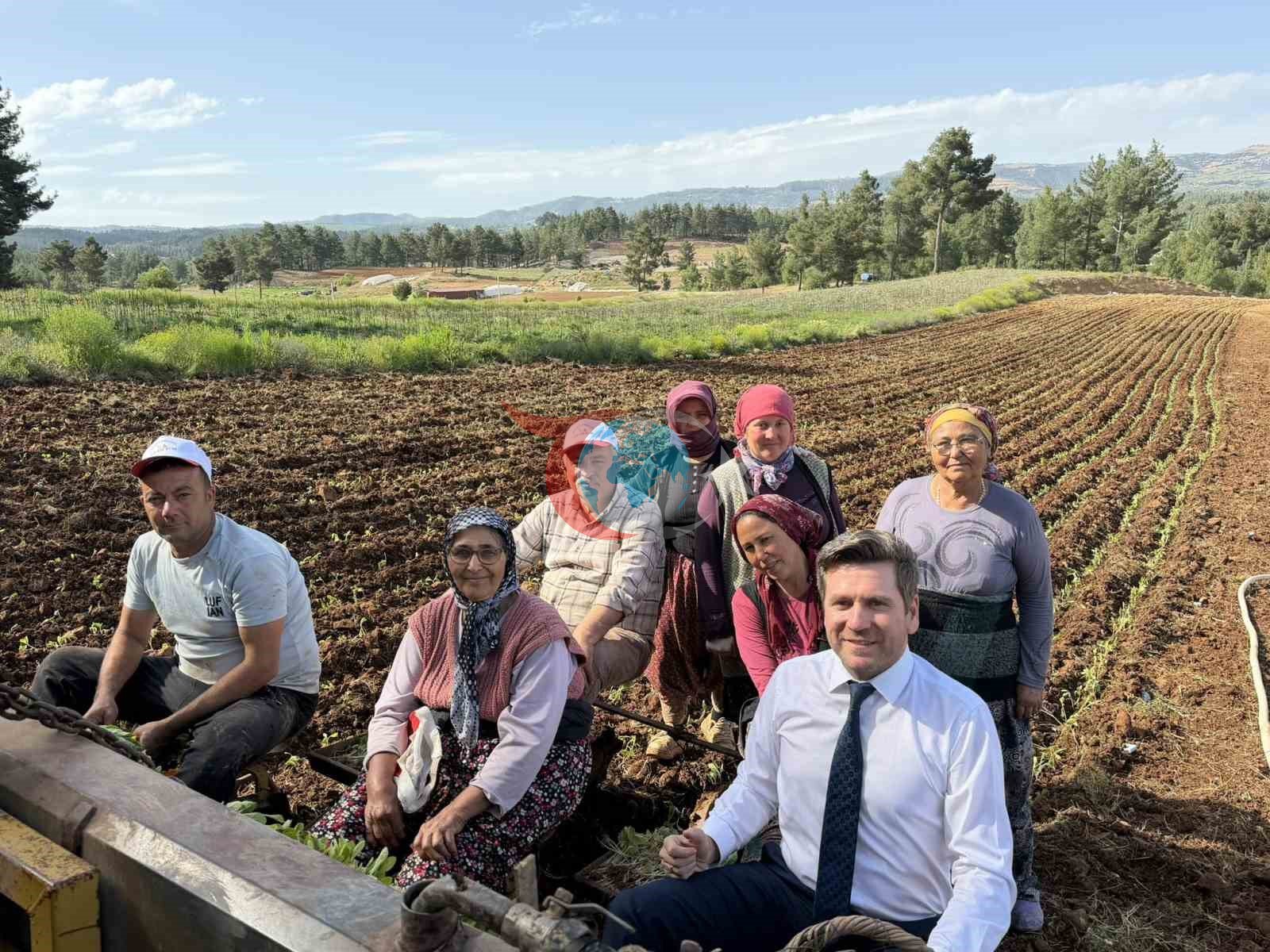 Tavas ve Beyağaç Belediye Başkanları birlikte tütün dikti